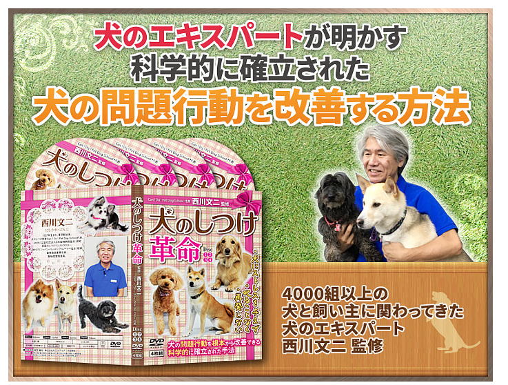 西川文二監修 犬のしつけ革命を徹底解説!科学的に確立された愛犬しつけ法とは?
